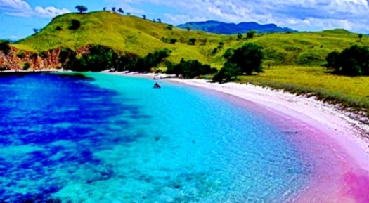 pantai pink tempat wisata di nusatenggara indonesia