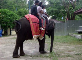 Taman Wisata Bumi kedaton, Naik gajah