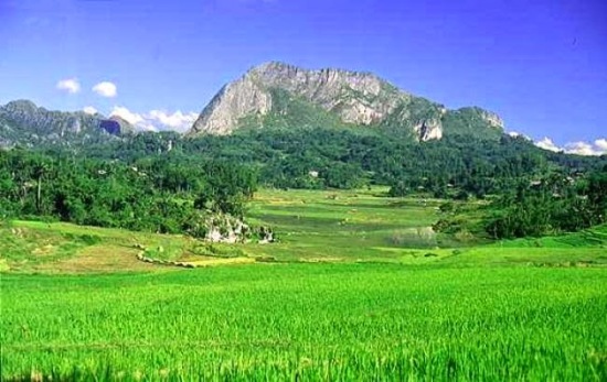 lembah-bada-taman-nasional-torelindu-kabupaten-poso-sulawesi-tengah